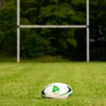 rugby championship explained